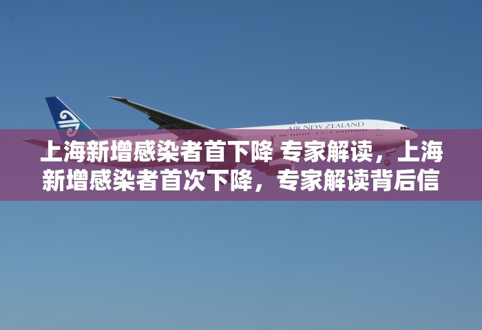 上海新增感染者首下降 专家解读，上海新增感染者首次下降，专家解读背后信号