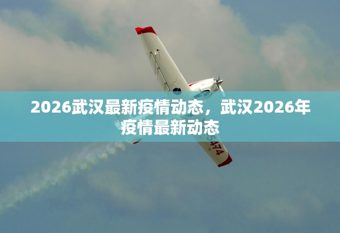 2026武汉最新疫情动态，武汉2026年疫情最新动态