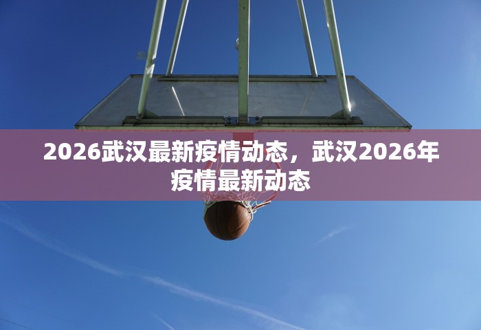 2026武汉最新疫情动态，武汉2026年疫情最新动态