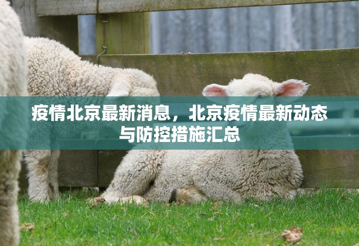 疫情北京最新消息，北京疫情最新动态与防控措施汇总