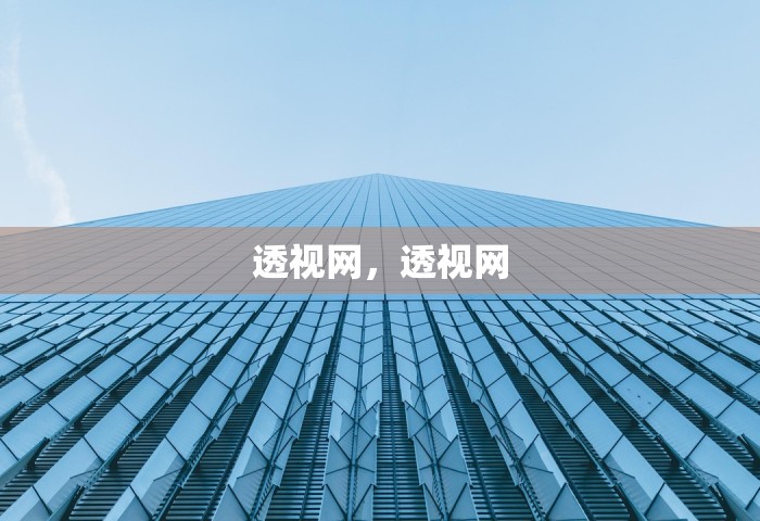透视网，透视网