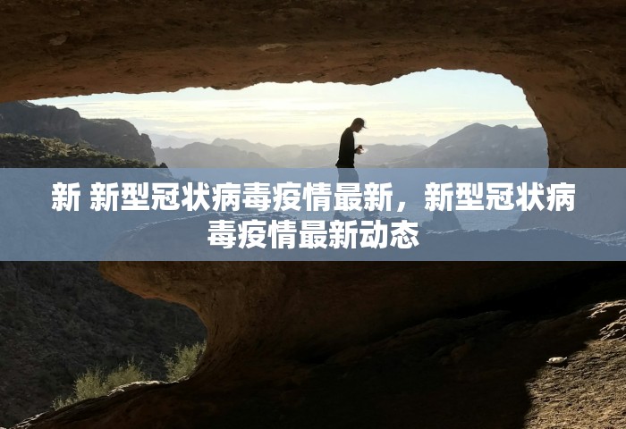 新 新型冠状病毒疫情最新，新型冠状病毒疫情最新动态